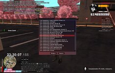 IMG_3329.jpeg