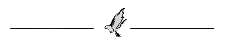 1000032705.png 1000032705.png