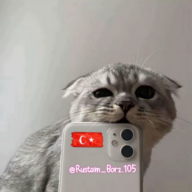 "Rustam_Vpotoke"