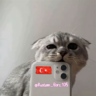"Rustam_Vpotoke"