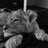 Baltasar_Sasake