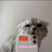 "Rustam_Vpotoke"