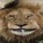 Noah_Schaden